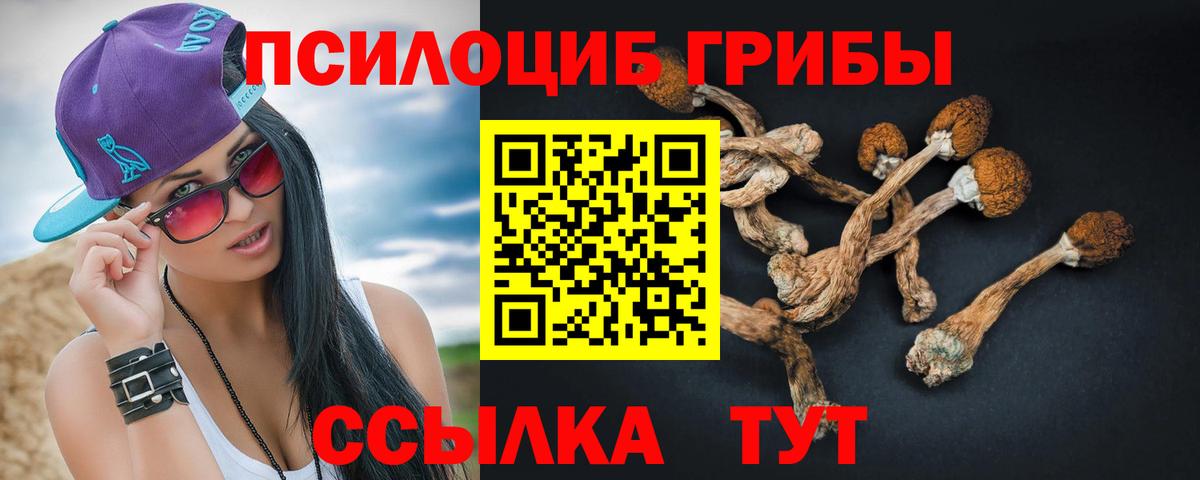 Ставрополь  Галлюциногенные грибы мицелий  Вход с VPN 